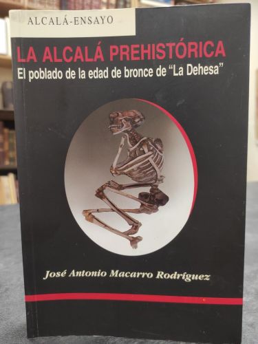 LA ALCALÁ PREHISTÓRICA. El poblado de la edad de bronce de 