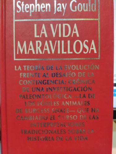 LA VIDA MARAVILLOSA.