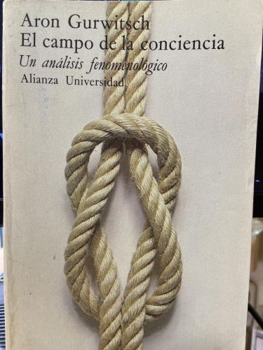 EL CAMPO DE LA CONCIENCIA. Un análisis fenomenológico.